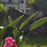 Fontanelle *