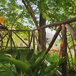 Fontanelle *