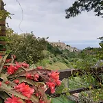 Fontanelle