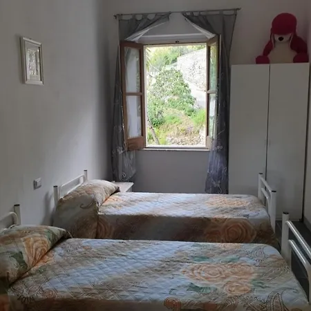 Fontanelle