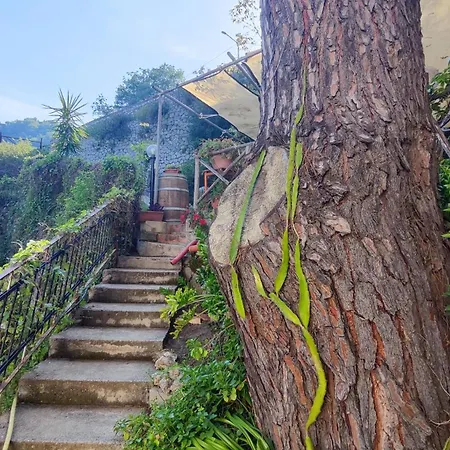 Fontanelle Holiday home Badolato Marina