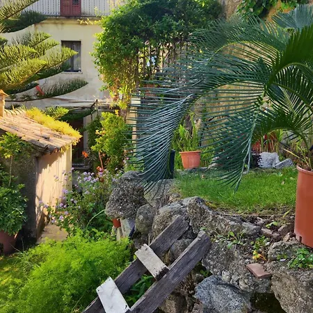 Fontanelle *