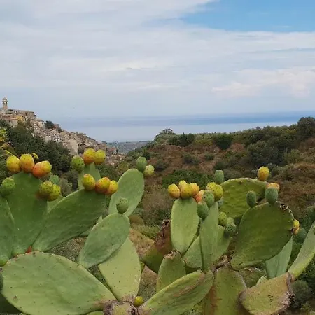 Fontanelle *