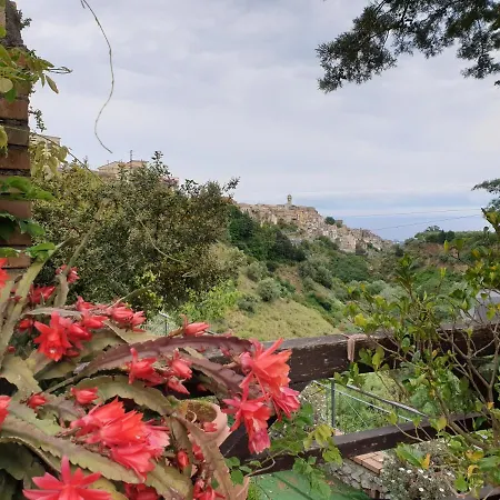 Fontanelle