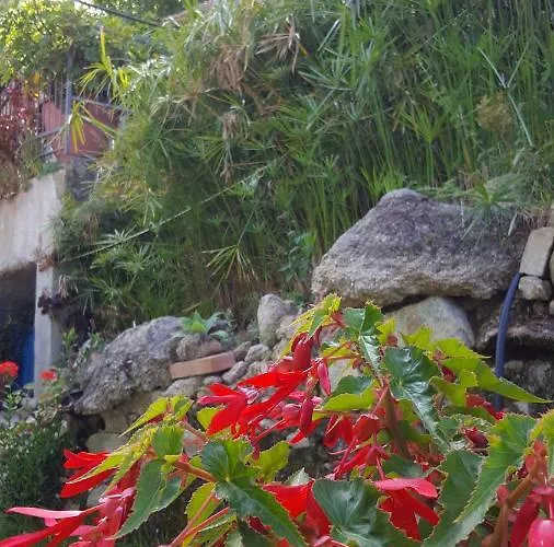 Fontanelle Casa de Férias Badolato Marina